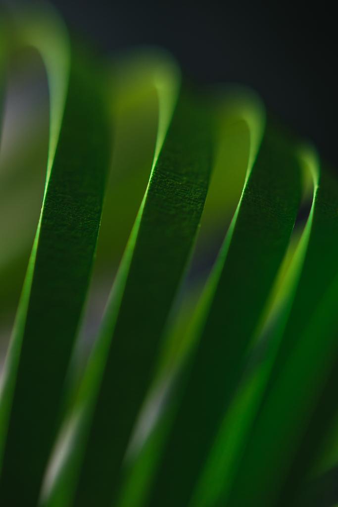 κλείνω πάνω θέα του πράσινου quilling χαρτί ριγέ σε μαύρο  - Φωτογραφία, εικόνα