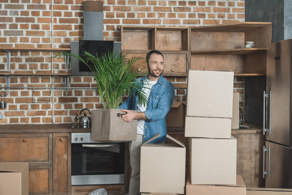 Glimlachende man met ingegoten plant terwijl het bewegen in nieuwe appartement - Foto, afbeelding