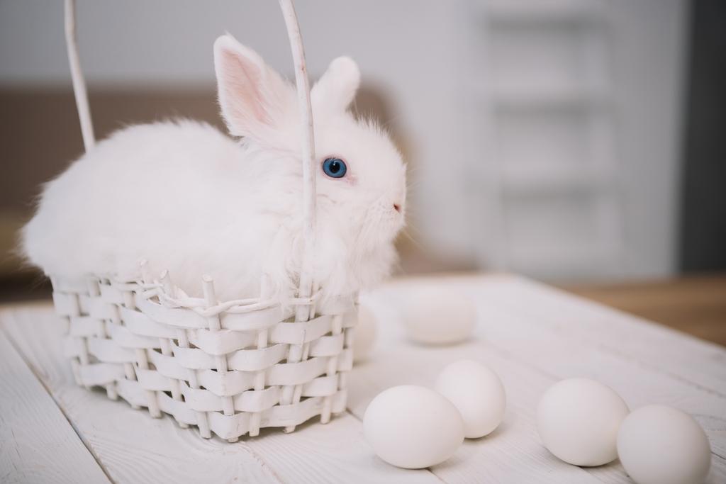 carino coniglio pasquale bianco seduto nel cestino con uova sul tavolo
 - Foto, immagini