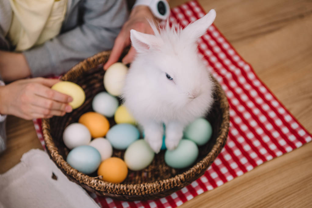 великодній кролик сидить у кошику з яйцями
 - Фото, зображення