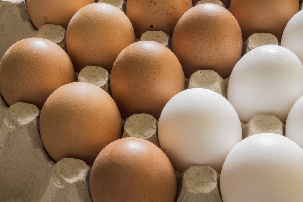 Uova di pollo marroni e bianchi su uno stand
 - Foto, immagini