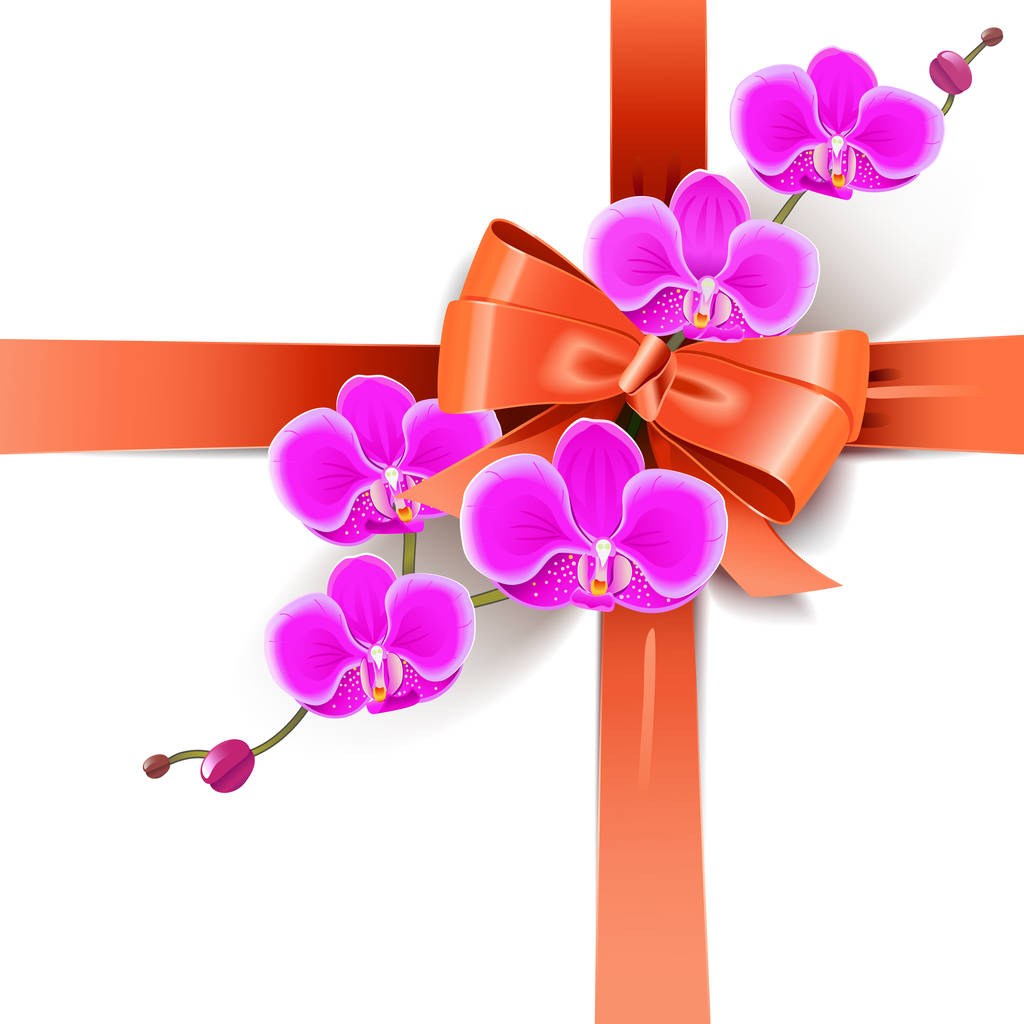 Vektor dekorative Schleife mit Orchideen - Vektor, Bild