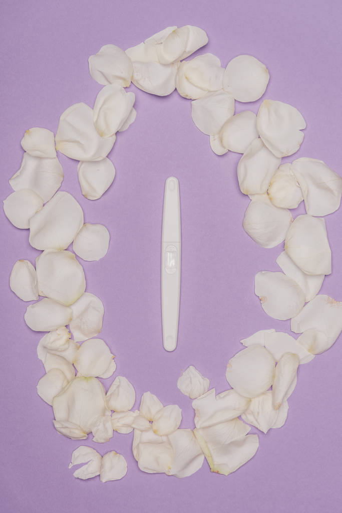整理された花弁と紫色に分離された妊娠検査のトップ ビュー - 写真・画像