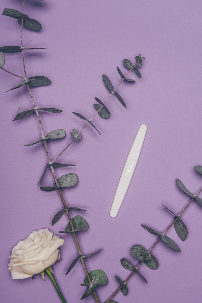 top view of arranged pregnancy test, flower and green eucalyptus leaves isolated on purple  - Photo, Image