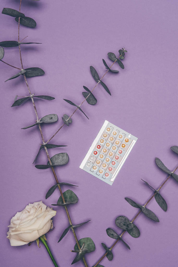 vue du dessus des pilules contraceptives et fleur aux feuilles d'eucalyptus isolées sur violet
 - Photo, image