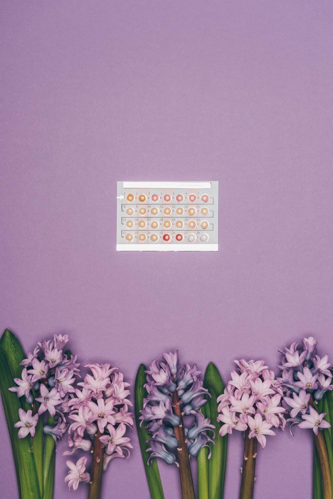 Widok z góry tabletki antykoncepcyjne i hiacynt kwiaty na fioletowym tle - Zdjęcie, obraz