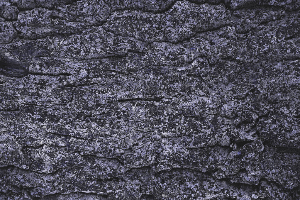 cracked rough purple tree bark background - Photo, Image