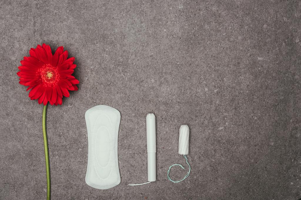 gri yüzeyi kırmızı çiçek, adet yastık ve tampon düzenlemenin Üstten Görünüm - Fotoğraf, Görsel