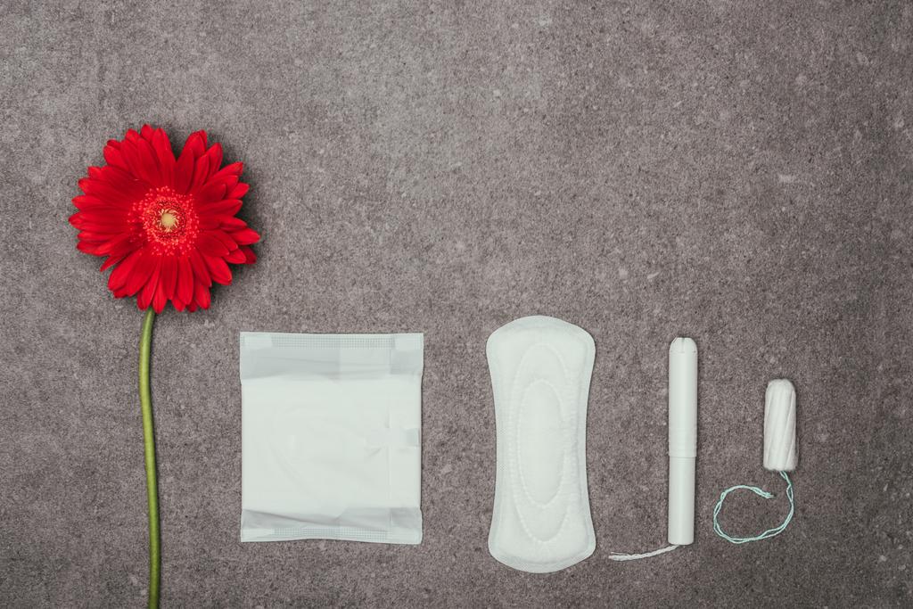 vista superior do arranjo da flor vermelha, almofadas menstruais e tampões na superfície cinzenta
 - Foto, Imagem