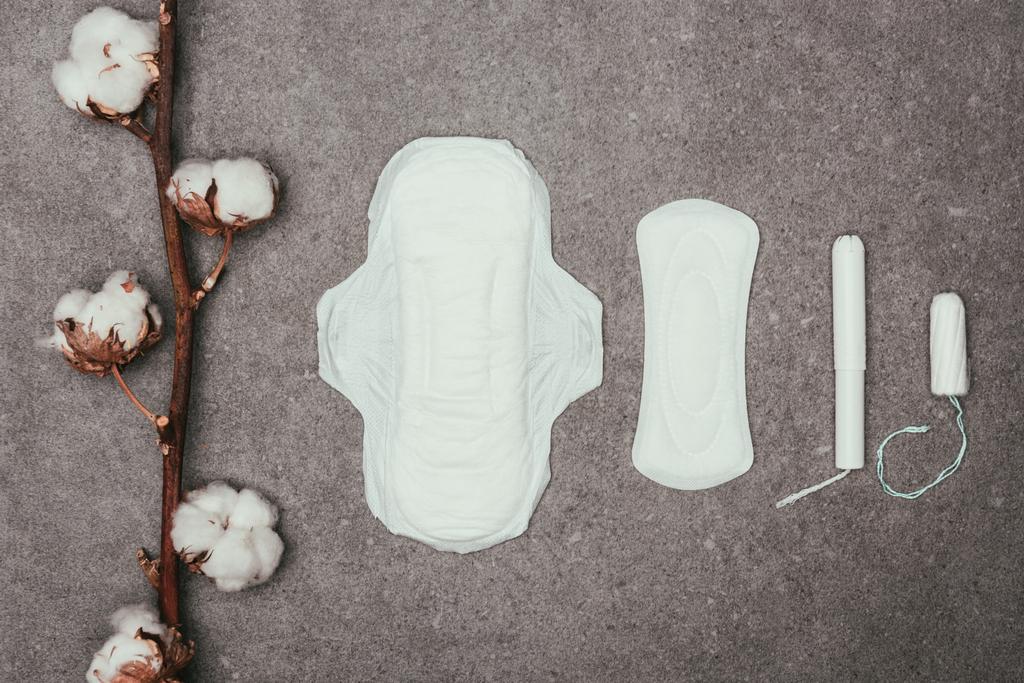 vista superior do arranjo de galho de algodão, almofadas menstruais e tampões na superfície cinzenta
 - Foto, Imagem