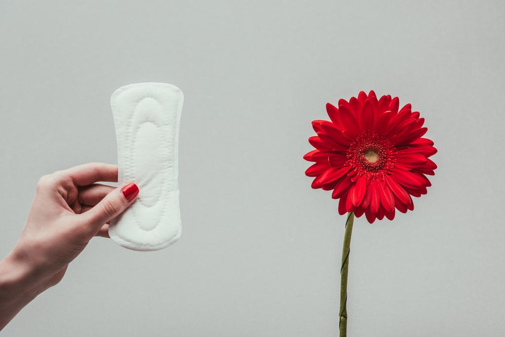 partial view of woman holding menstrual pad in hand with flower near by isolated on grey - Photo, Image