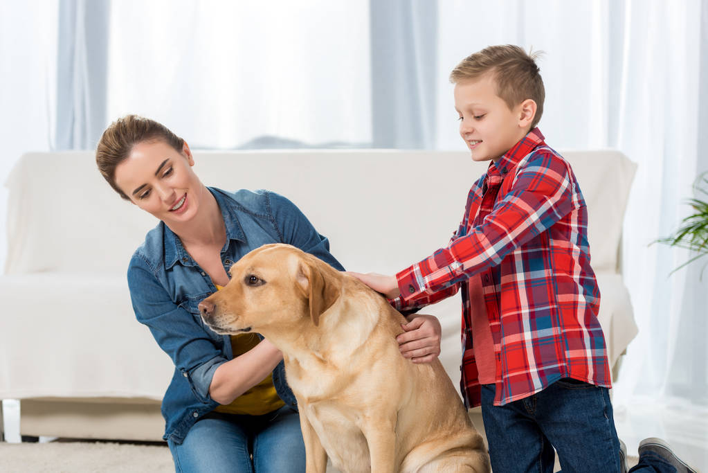 madre e figlio accarezzare il loro cane labrador giallo
 - Foto, immagini