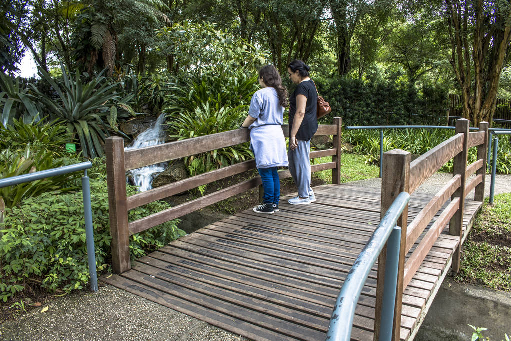 curitiba, Brasilien, 30. Dezember 2017. touristen im garten der sensationen, eine sensorische tour zur anregung von berühren, riechen und hören von besuchern durch pflanzen, im botanischen garten von curitiba, parana-staat - Foto, Bild