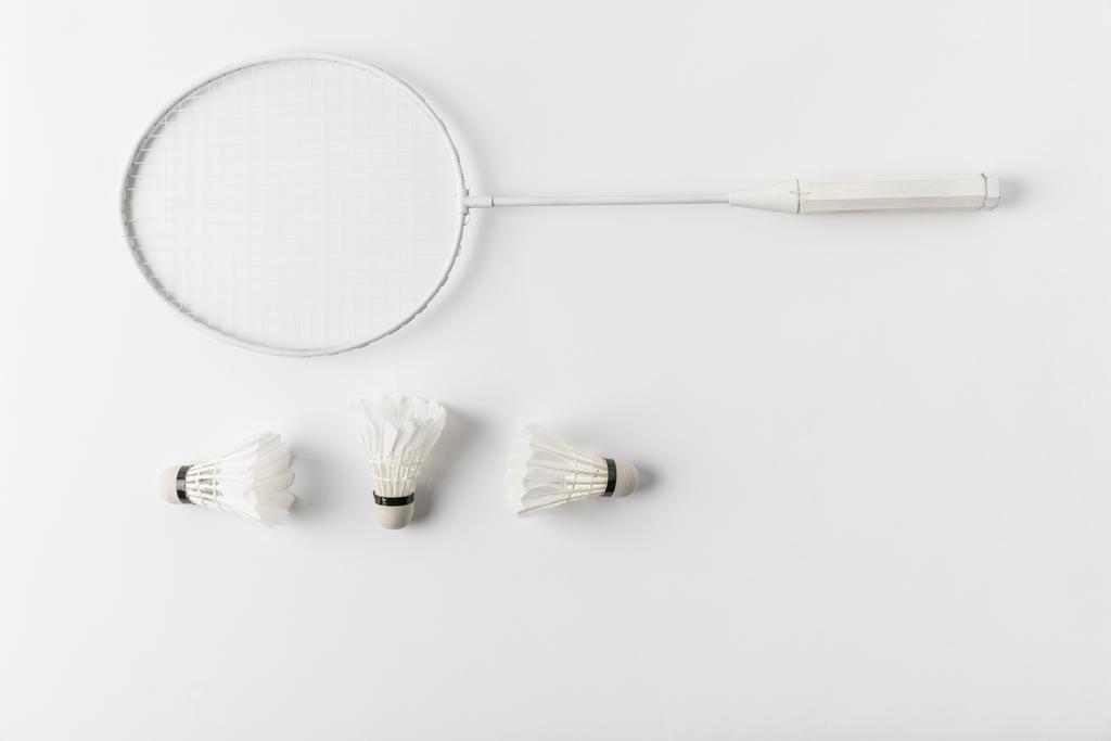 vista superior da raquete de badminton com suttercocks em linha na superfície branca
 - Foto, Imagem