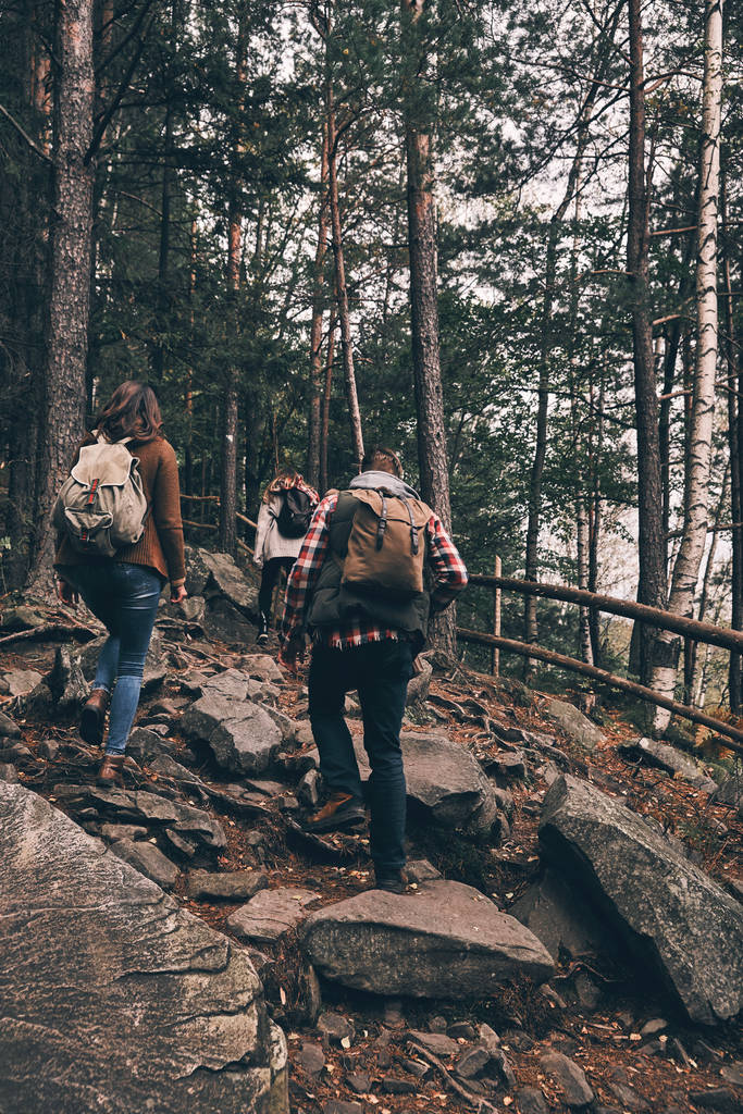 Rear view of friends with backpacks moving up while hiking in wood mountains - Photo, Image