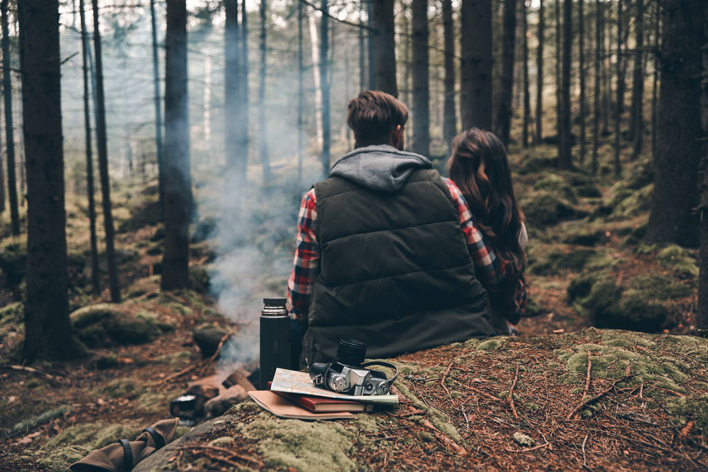 vue arrière du couple aimant assis dans la forêt près du feu de camp
 - Photo, image