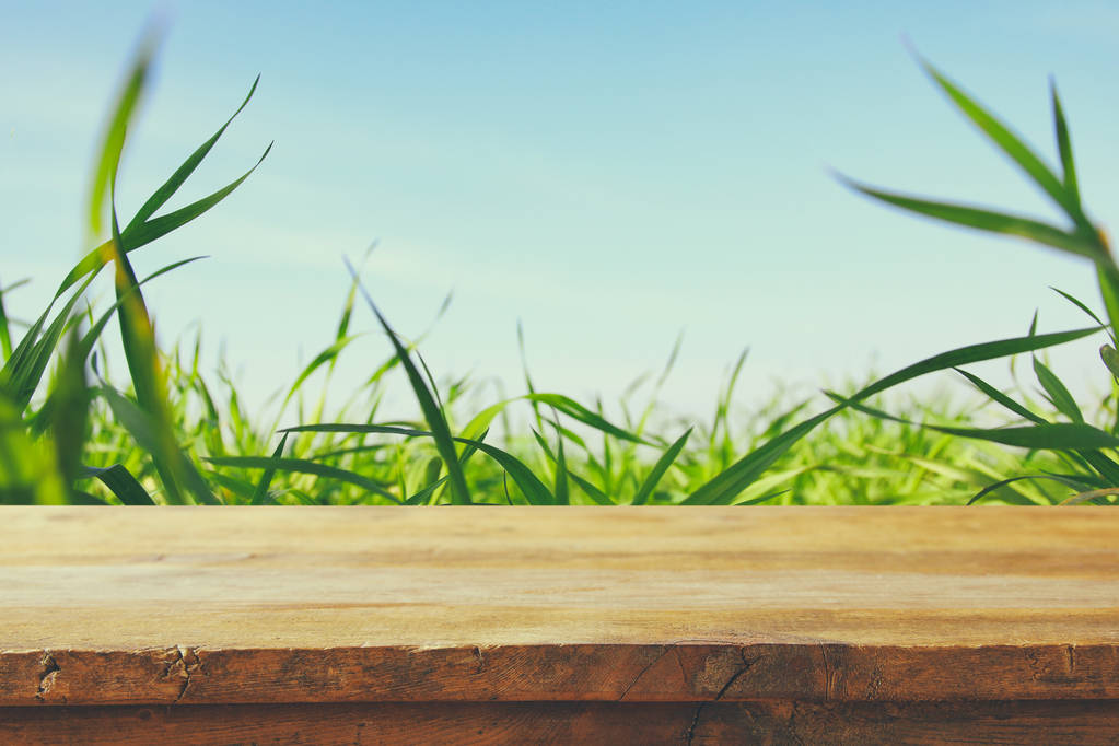 Порожній сільський стіл перед низьким кутом зору на свіжу траву. дисплей продукту і концепція пікніка
. - Фото, зображення