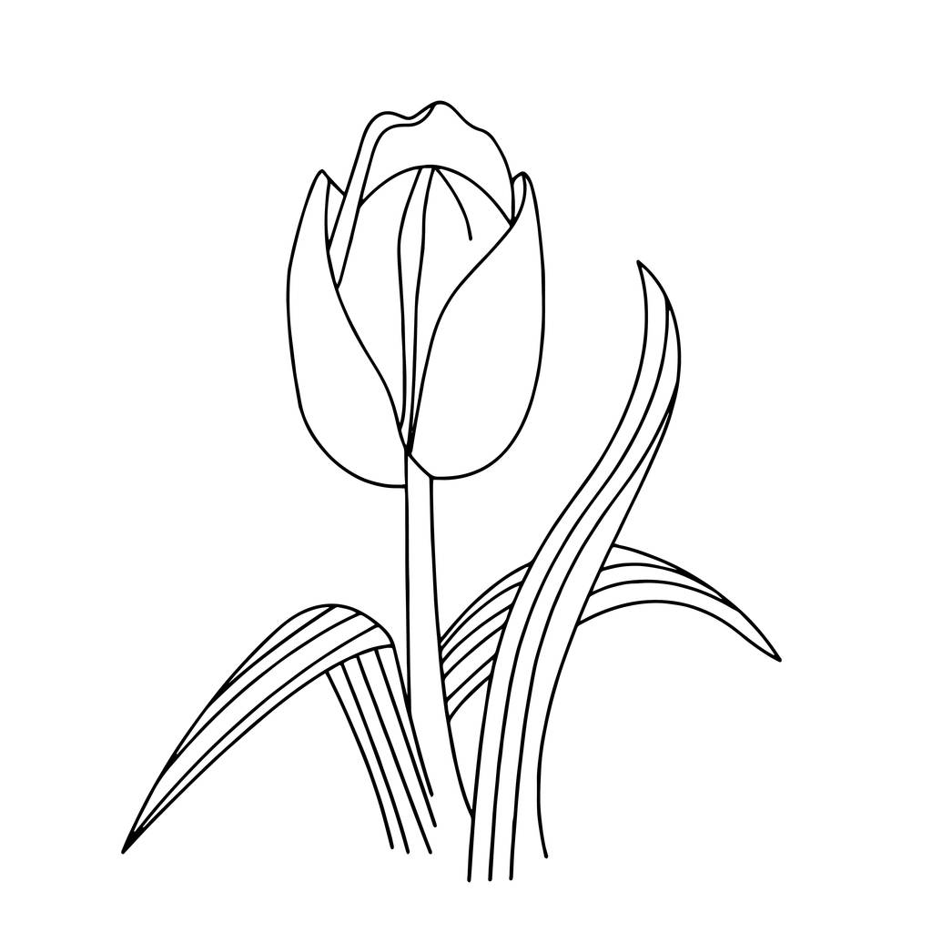 Aranyos rajzfilm tulipán, a fehér háttér a gyermekek nyomatok, póló, színes könyv, vidám és barátságos jelleg gyerekeknek - Vektor, kép