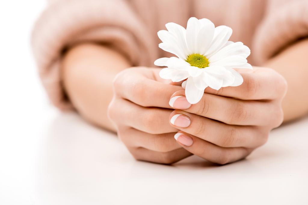 cropped view of woman with natural manicure holding daisy, isolated on white - Photo, Image
