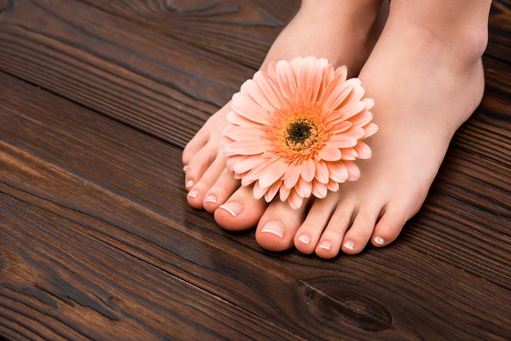 vista cortada de pés com pedicure natural e flor de gerbera na superfície de madeira
 - Foto, Imagem