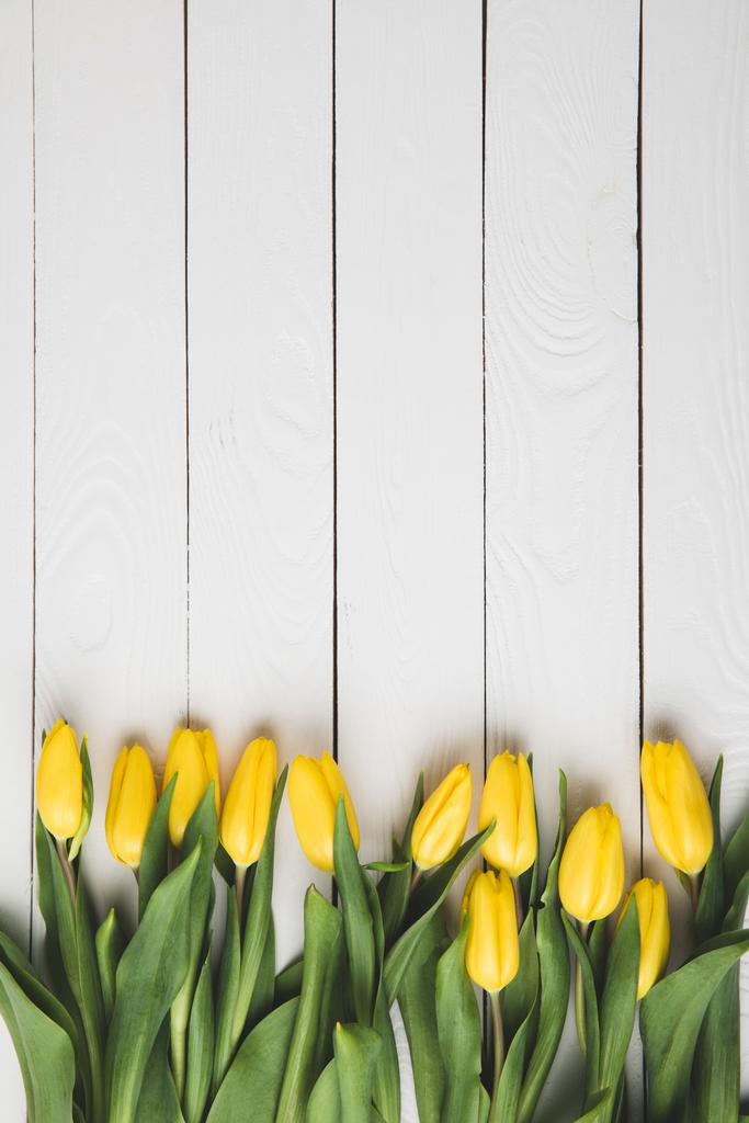 vista superior de hermosos tulipanes amarillos en la superficie de madera blanca
     - Foto, Imagen