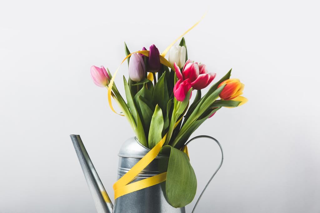 красивые красочные цветущие тюльпаны в кастрюле с желтой лентой на сером
  - Фото, изображение