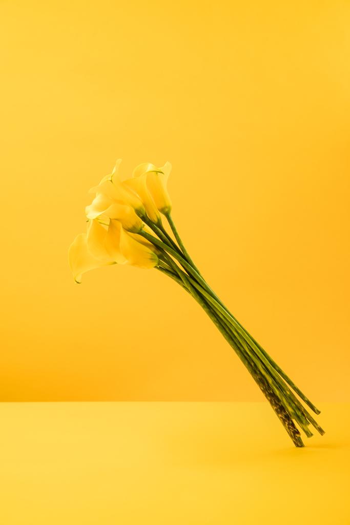beautiful blooming yellow spring flowers isolated on yellow  - Photo, Image