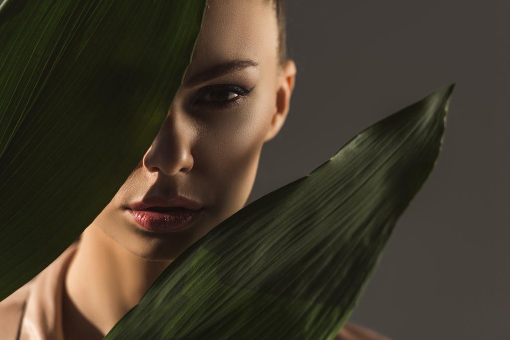 attraktive junge Frau versteckt sich hinter grünen Blättern, isoliert auf grau - Foto, Bild