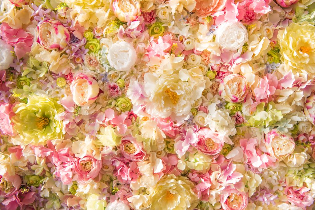 beautiful floral background with tender elegant flowers - Photo, Image