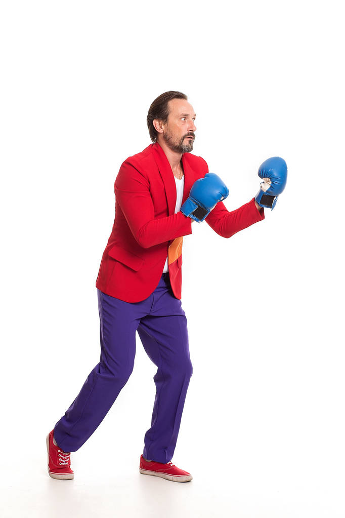 Hezký boxer v barevné oblečení - Fotografie, Obrázek