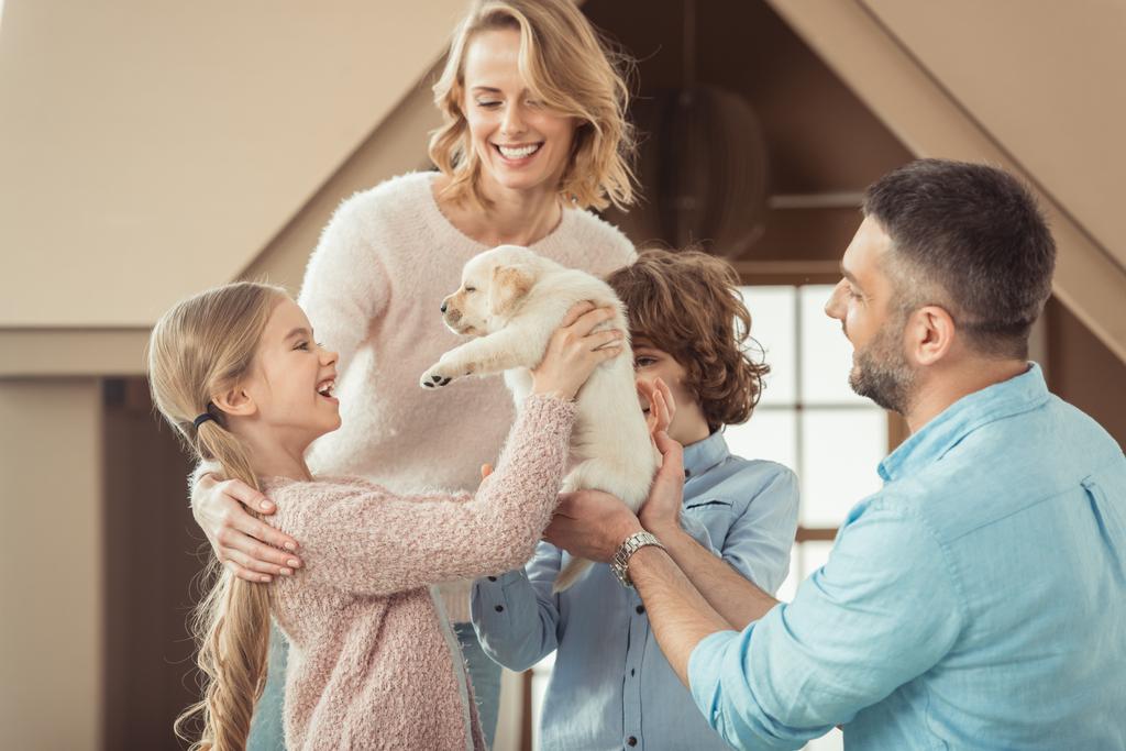 молодая семья с красивым щенком лабрадора перед картонным домиком
 - Фото, изображение