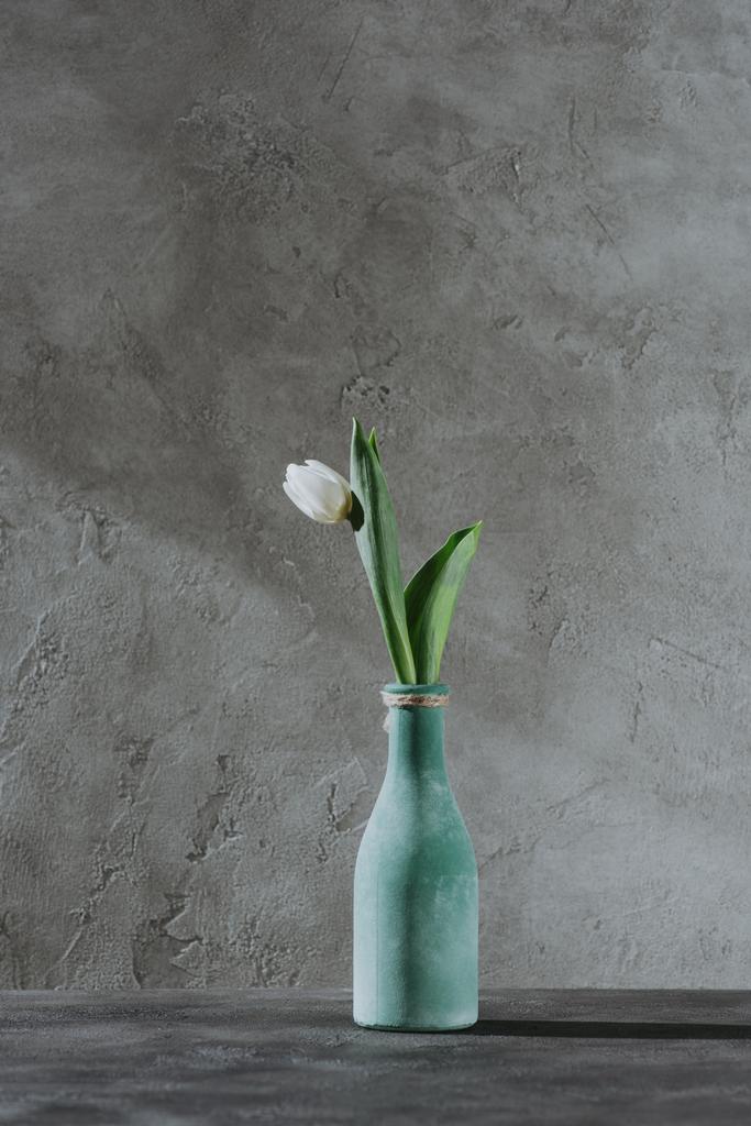 witte lente tulip in blauwe vaas op grijze oppervlak - Foto, afbeelding