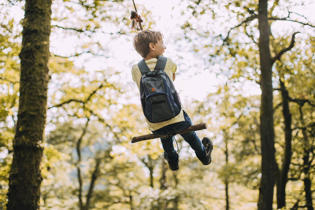 Malý chlapec na lano Swing - Fotografie, Obrázek