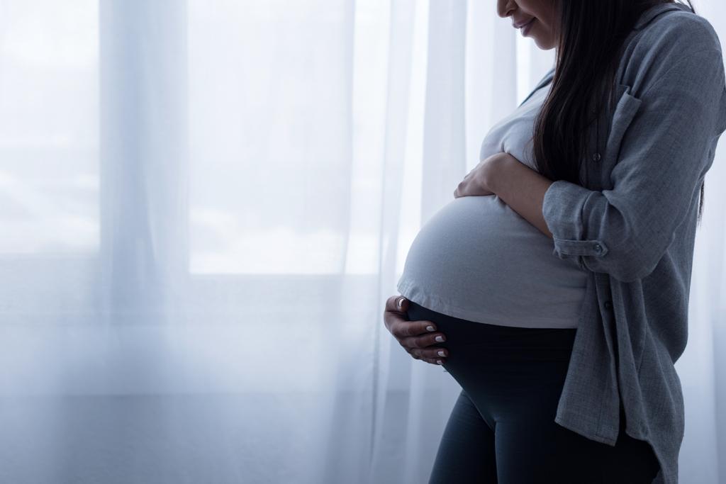 vista cortada da mulher grávida tocando sua barriga enquanto estava na janela
 - Foto, Imagem