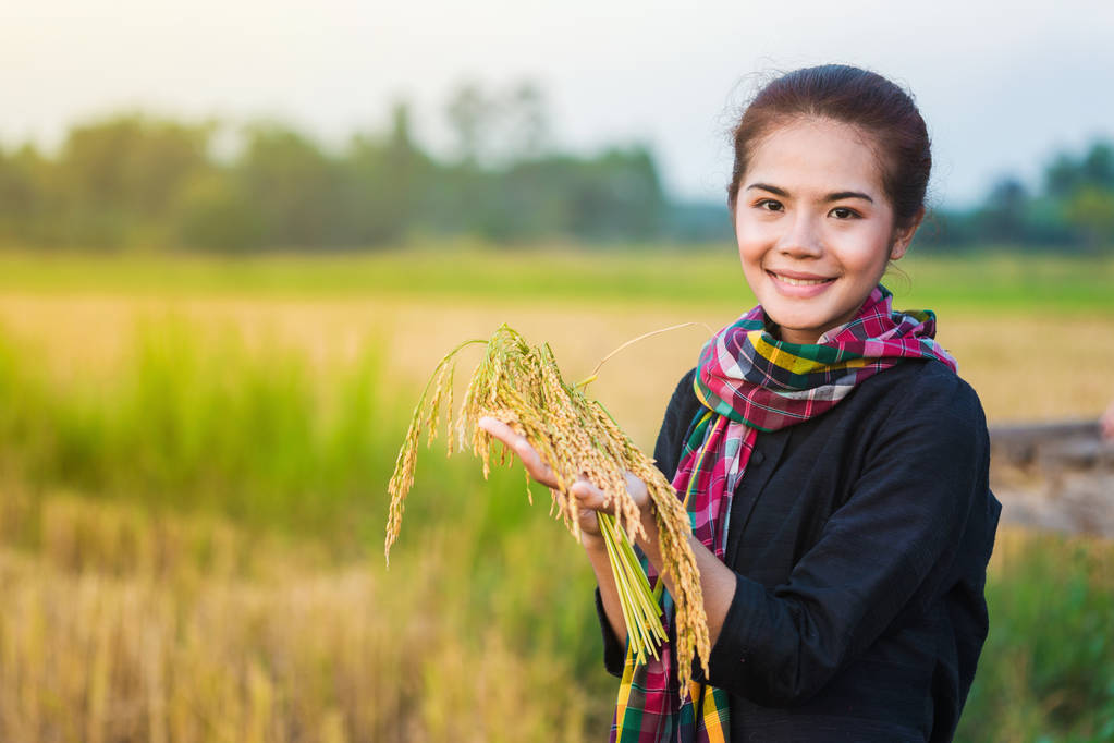 farmer woman holding rice in field - Photo, Image