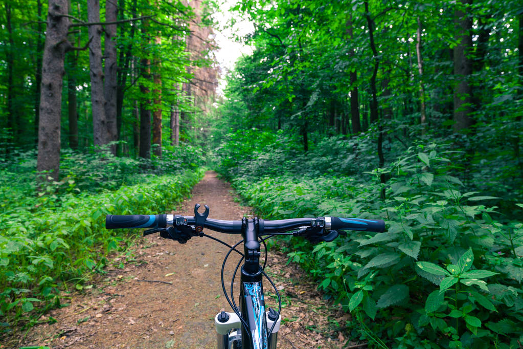 Bicicletta da montagna nella foresta
. - Foto, immagini