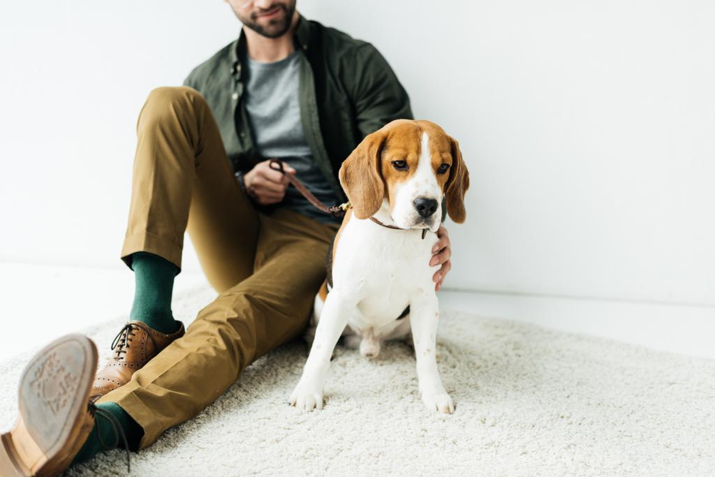 rajattu kuva mies istuu söpö beagle matolla lattialla
 - Valokuva, kuva