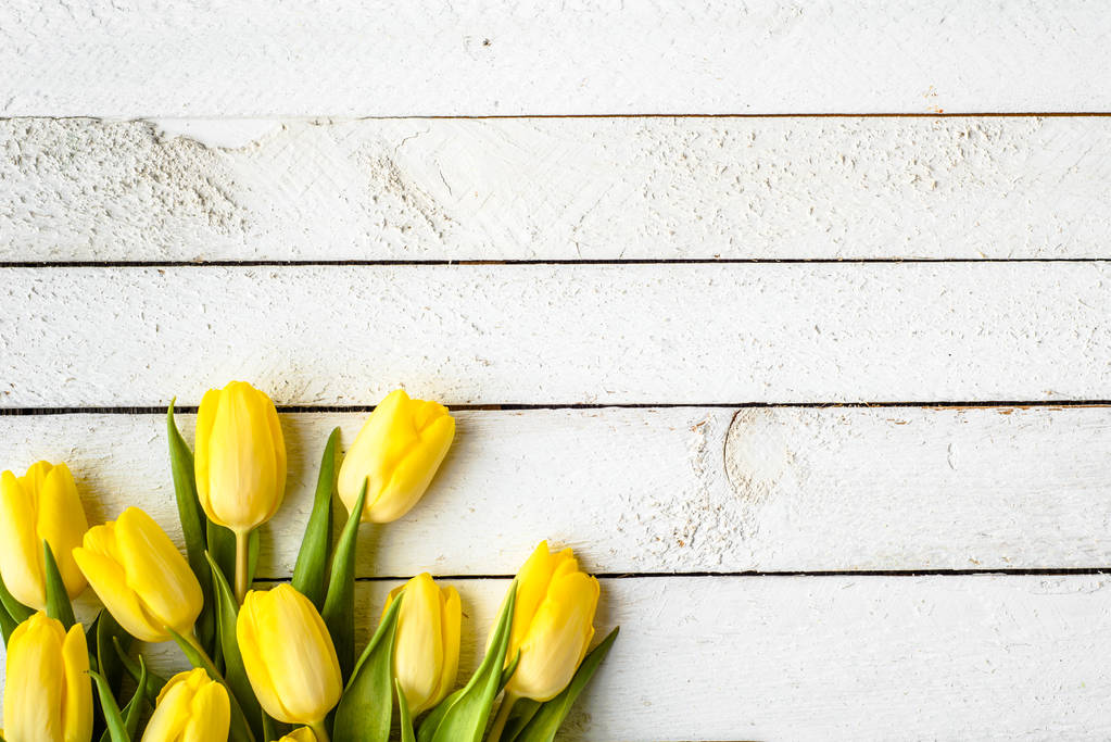 Žluté tulipány, jaro velikonoční pozadí nebo výročí dárek pro den matek nebo kartu na den žen 8 březen - Fotografie, Obrázek