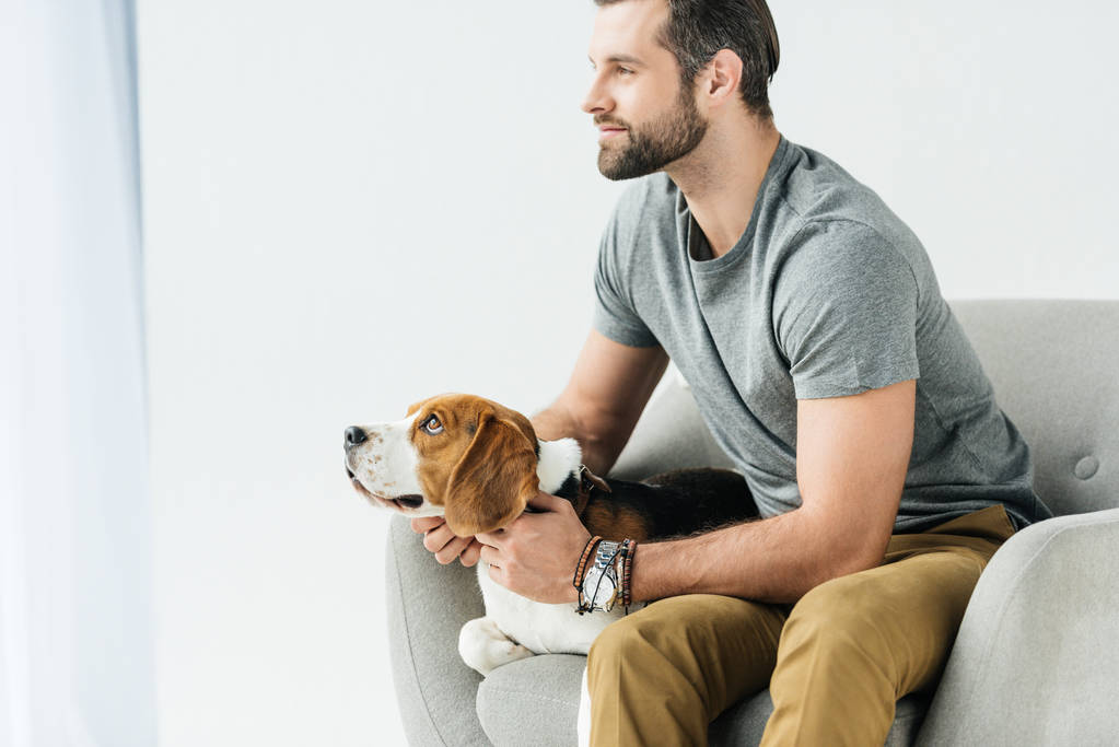 vista lateral del hombre guapo sentado en sillón con perro
 - Foto, imagen