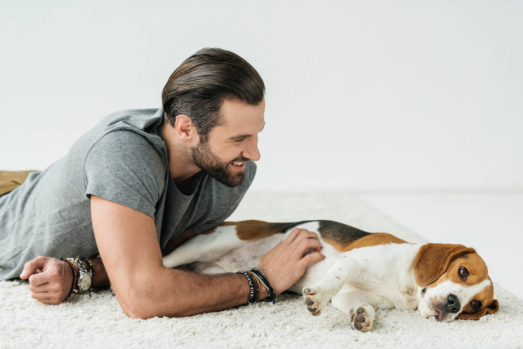 sorrindo bonito homem deitado com bonito beagle no tapete
 - Foto, Imagem
