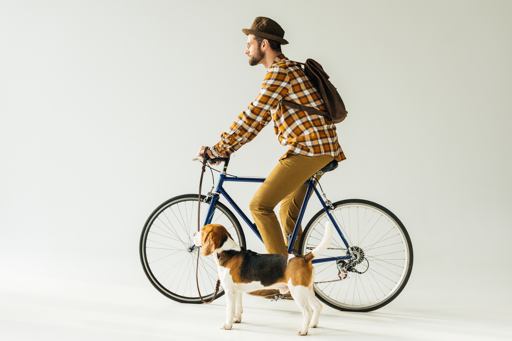 вид збоку велосипедиста з собакою на білому
 - Фото, зображення