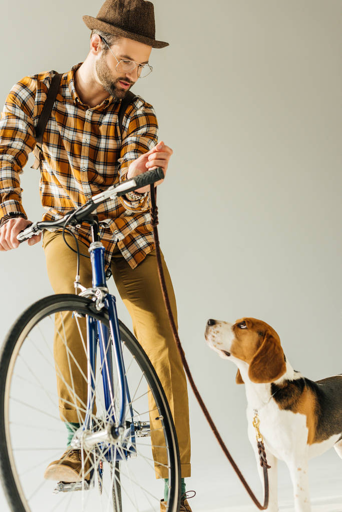 schöner Radfahrer mit Beagle mit Leine auf weiß - Foto, Bild