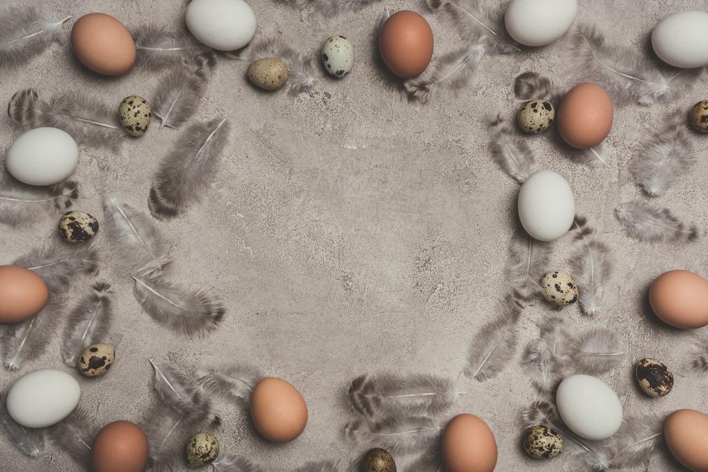 рама из куриных и перепелиных яиц на бетонной поверхности с перьями
 - Фото, изображение
