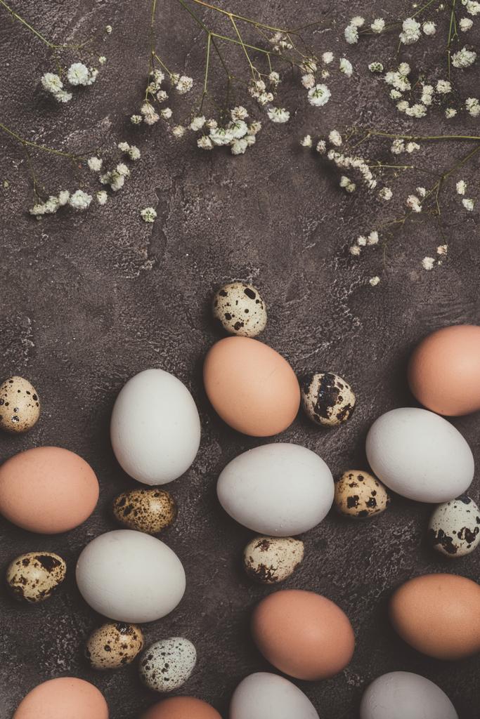 vista superior de huevos de codorniz y pollo con flores en la mesa, decoraciones para Pascua
 - Foto, Imagen