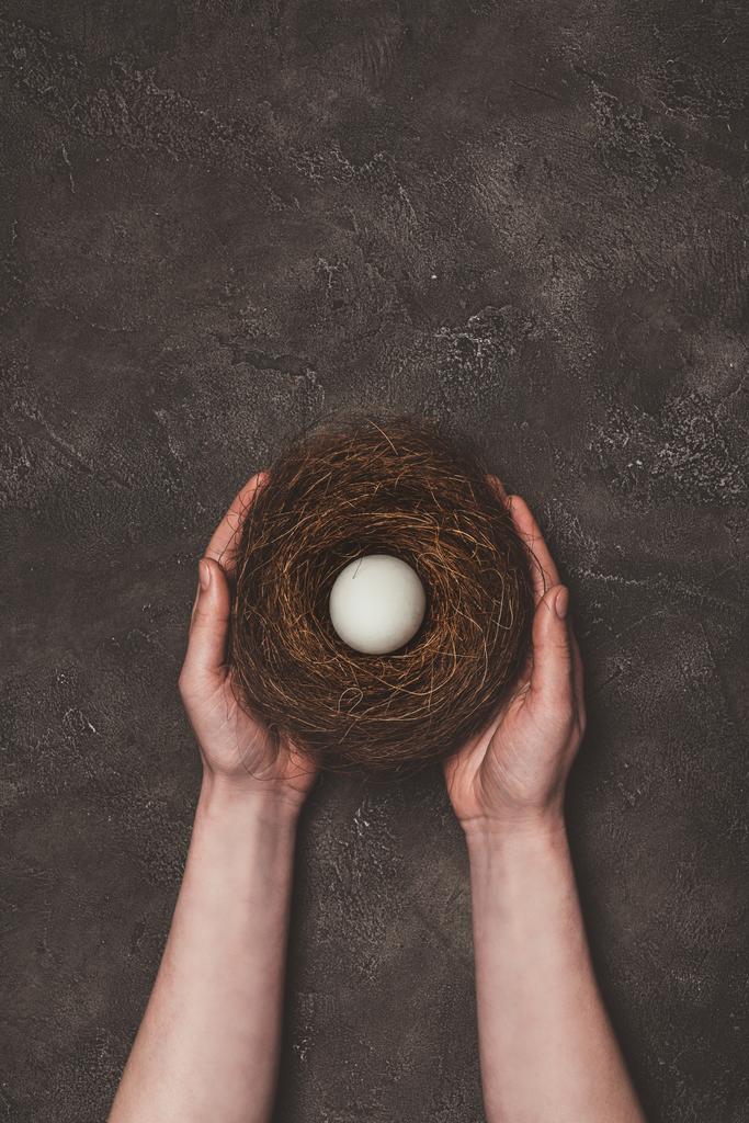 vista recortada del hombre sosteniendo nido con huevo blanco
 - Foto, Imagen