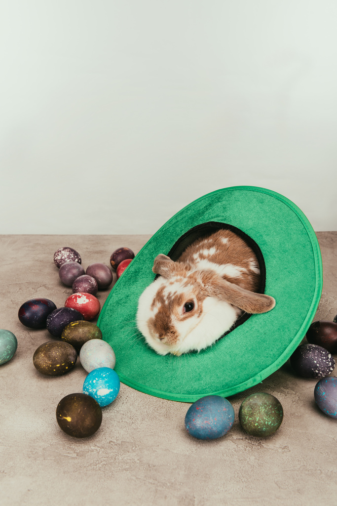 coniglietto domestico sdraiato in cappello verde con uova di Pasqua in superficie
 - Foto, immagini