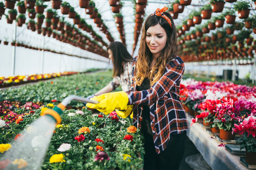 Dos mujeres jóvenes atractivas que trabajan en invernadero y disfrutan de hermosas flores
 - Foto, imagen