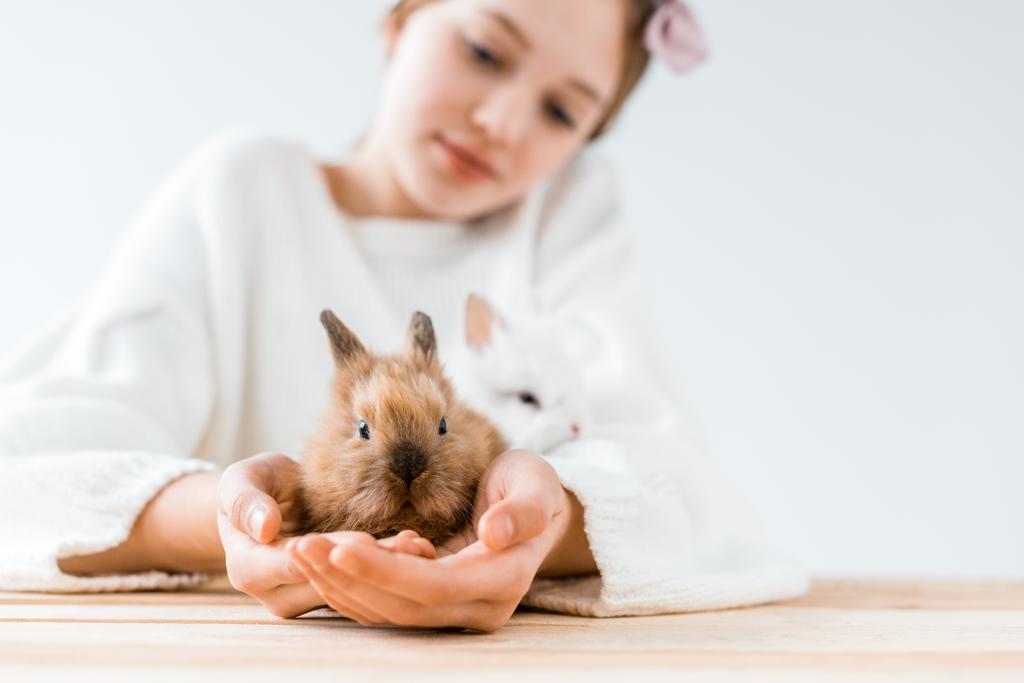 vue rapprochée de fille tenant des lapins poilus mignons sur blanc
 - Photo, image