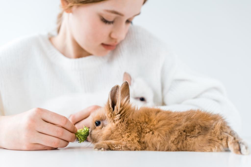 rajattu laukaus söpö pieni tyttö ruokinta kanit parsakaali valkoinen
  - Valokuva, kuva