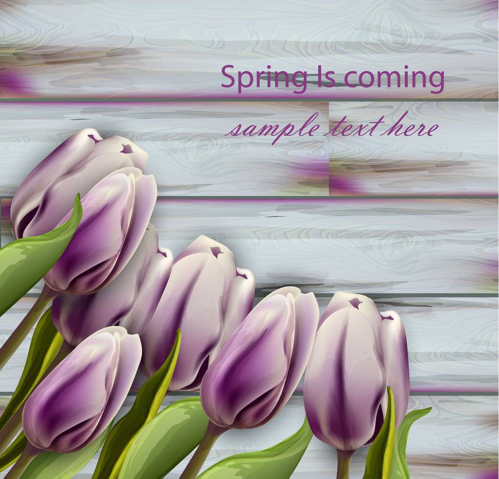 Fiori di tulipano Vettore realistico sfondo in legno. Carte primavera vintage
 - Vettoriali, immagini
